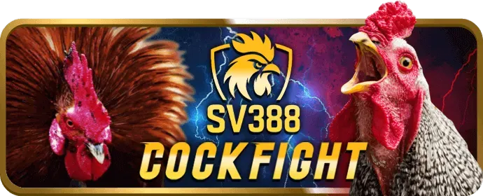 Đội ngũ hỗ trợ khách hàng 24/7 của 5699win casino